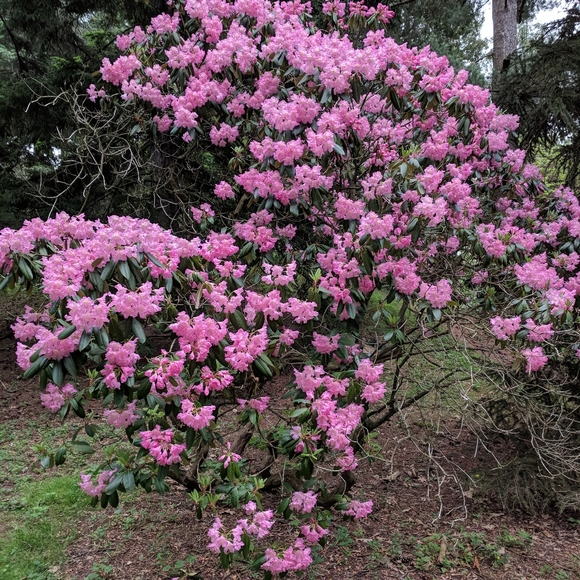 Meet your Posher, Victory Hill (Deb) - Picture 2 of 14